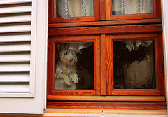 photo credit: <a href="http://www.flickr.com/photos/mmoraru/2491567810/">wilthaihui</a> via <a href="http://photopin.com">photopin</a> <a href="http://creativecommons.org/licenses/by-nc-nd/2.0/">cc</a>