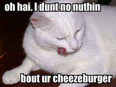 photo credit: <a href="http://www.flickr.com/photos/seeit_snapit/1299452749/">seeit_snapit</a> via <a href="http://photopin.com">photopin</a> <a href="http://creativecommons.org/licenses/by/2.0/">cc</a>