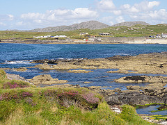 photo credit: <a href="http://www.flickr.com/photos/katea/9536004501/">Kate Allen</a> via <a href="http://photopin.com">photopin</a> <a href="http://creativecommons.org/licenses/by-nc/2.0/">cc</a>