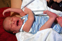 photo credit: <a href="http://www.flickr.com/photos/stacya/3658729149/">stacya</a> via <a href="http://photopin.com">photopin</a> <a href="http://creativecommons.org/licenses/by-nc-sa/2.0/">cc</a>