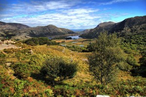 photo credit: <a href="http://www.flickr.com/photos/mcdarius/5054350289/">mcdarius</a> via <a href="http://photopin.com">photopin</a> <a href="http://creativecommons.org/licenses/by-nc/2.0/">cc</a>