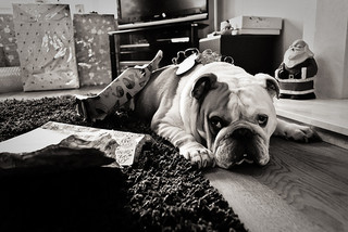 photo credit: jev55 via photopin cc