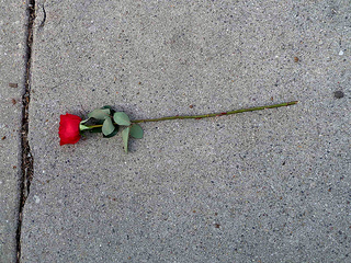 photo credit: silverfuture via photopin cc