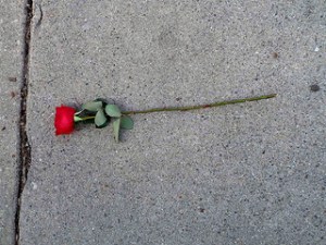 photo credit: <a href="http://www.flickr.com/photos/silverfuture/6945249647/">silverfuture</a> via <a href="http://photopin.com">photopin</a> <a href="http://creativecommons.org/licenses/by-nc-sa/2.0/">cc</a>