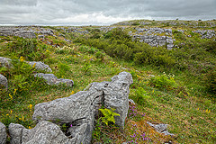 photo credit: <a href="http://www.flickr.com/photos/82955120@N05/10294419204/">Free HDR & Photomanipulations - www.freestock.ca</a> via <a href="http://photopin.com">photopin</a> <a href="http://creativecommons.org/licenses/by/2.0/">cc</a>