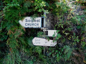 photo credit: <a href="http://www.flickr.com/photos/chriskealyphotography/7439961316/">Chris Kealy</a> via <a href="http://photopin.com">photopin</a> <a href="http://creativecommons.org/licenses/by-nc-sa/2.0/">cc</a>