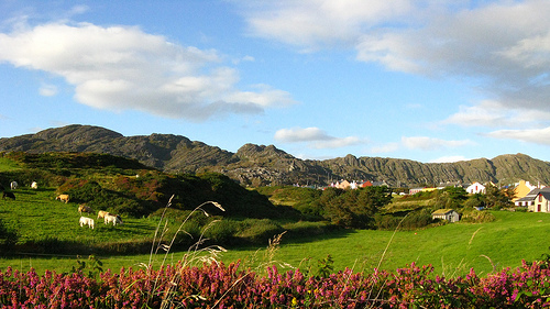 Allihies Village, hiding in the mountains.