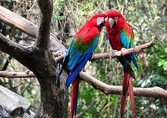 photo credit: andredoreto via photopin cc