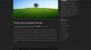 photo credit: ePhoto Wordpress Theme via photopin (license)