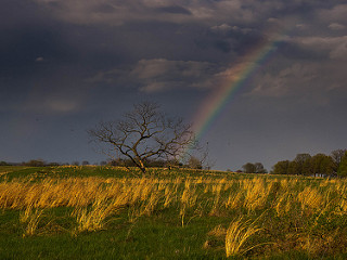 photo credit: An Improbable Rainbow via photopin (license)