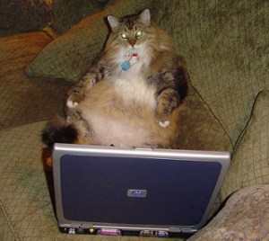 photo credit: isfullofcrap edloe_laptop_back via photopin (license)