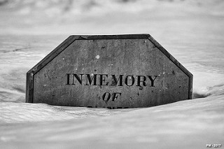 photo credit: P. Marioné in memory via photopin (license)A